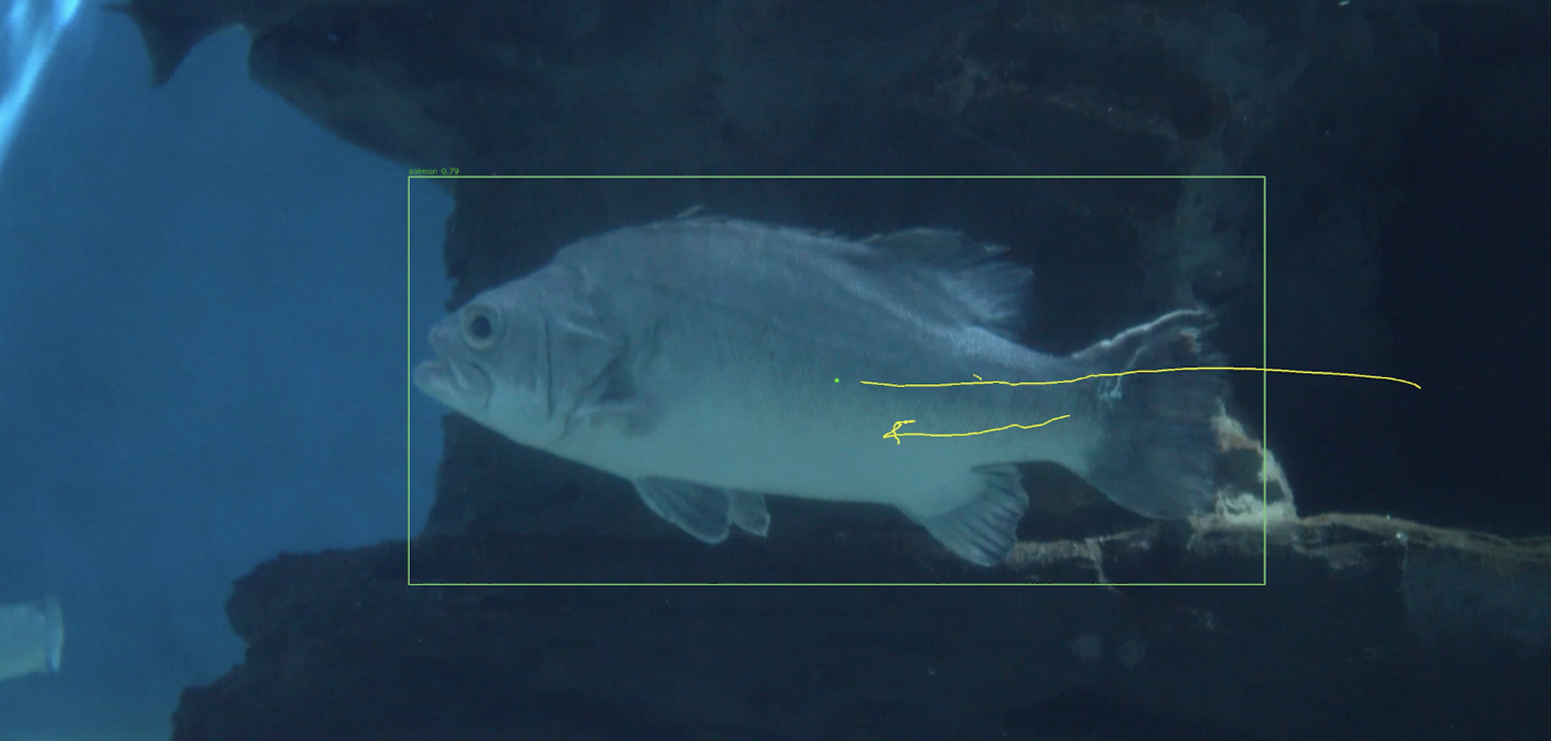 Workout form analysis model preview